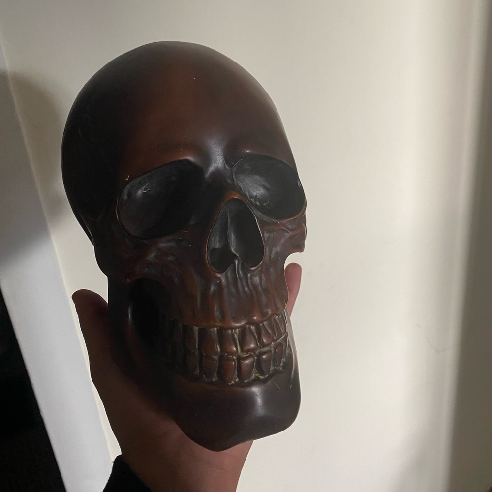 Dark brown skull home decor brand new
